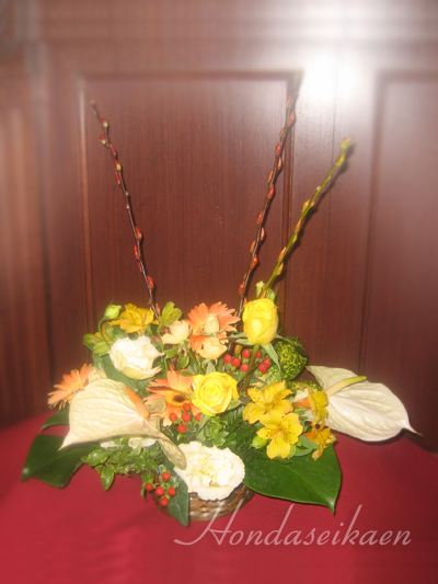 �A�����W�����g3000�~���i��