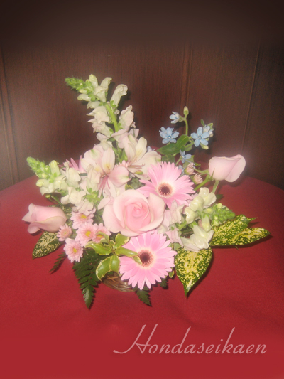 �A�����W�����g3000�~���i��