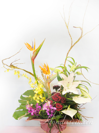 �A�����W�����g5000�~���i��