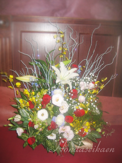 �A�����W�����g10000�~���i��