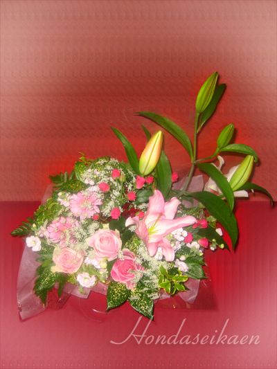 �ԑ��E�u�[�P�i���ԁj3000�~���i��