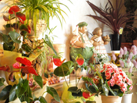 �{�c���ԉ��X��