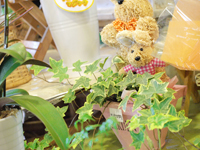 �{�c���ԉ��X��