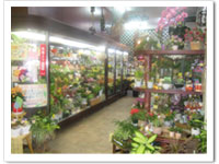 �{�c���ԉ��A�X�^�X