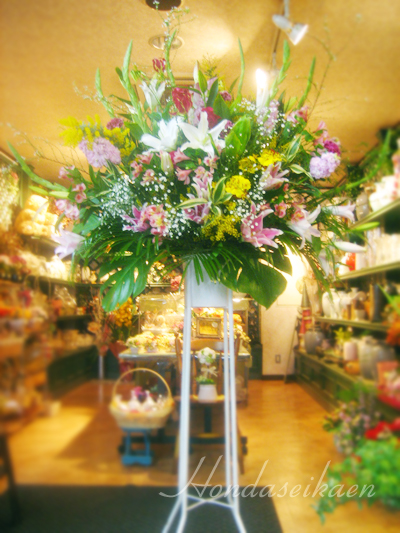 ���j���X�^���h��15,750�~���i��