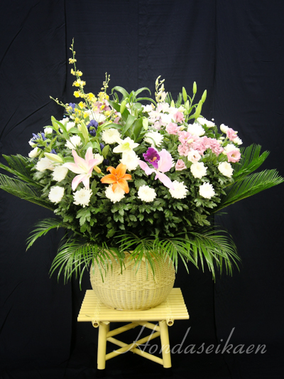 �_���}�������p21,000�~���i��