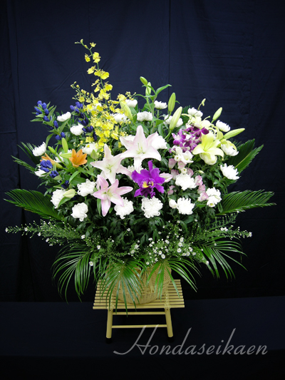 �_���}�������p15,750�~���i��