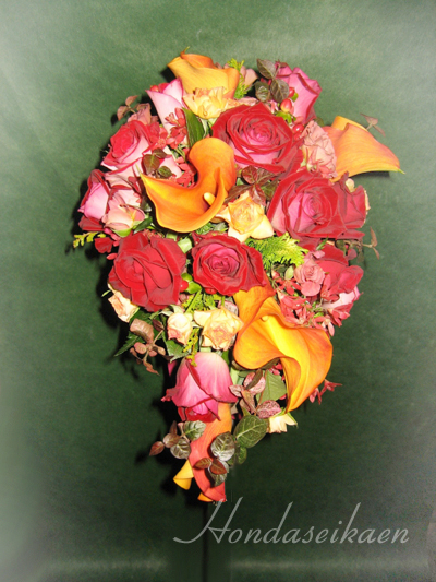 �L���X�P�[�h�u�[�P�i���ԁj���i��