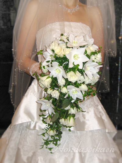 �L���X�P�[�h�u�[�P�i���ԁj���i��